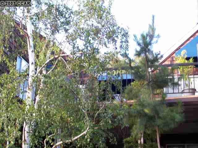 Property Photo: 1973 Bonifacio St # 4 CA 94520-2262
