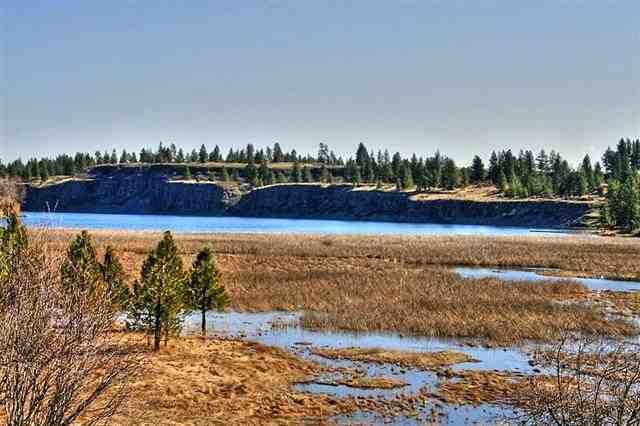 Property Photo:  00 Badger Lake Rd  WA 99004 