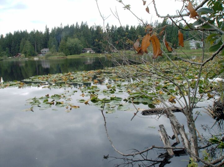 Property Photo:  173xxx Lake Desire Dr SE  WA 98058 