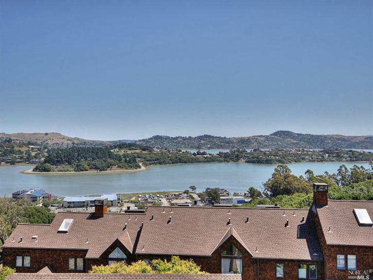 Property Photo:  212 Headlands Court  CA 94965 