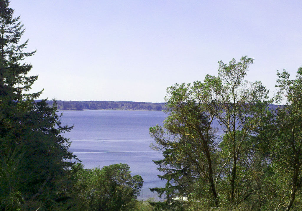 Property Photo: 190 Island Blvd WA 98333