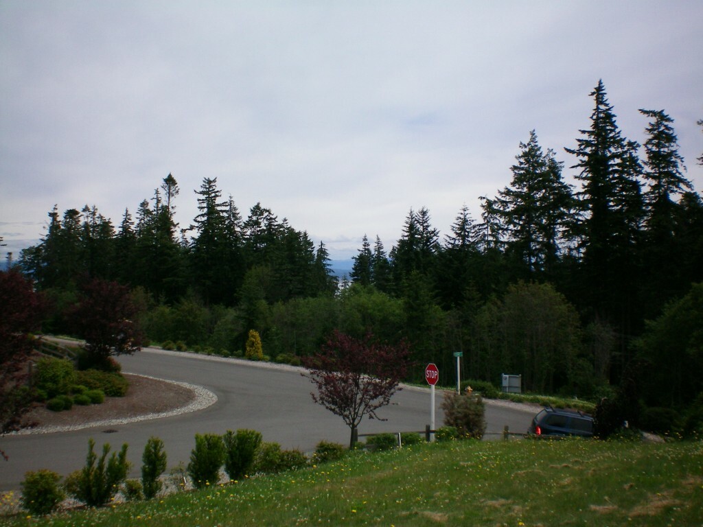 Property Photo:  9999 Zermatt Ct  WA 98282 