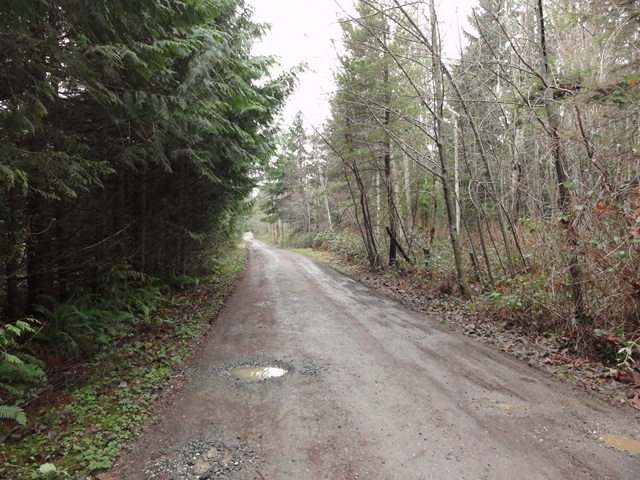 Property Photo: 19600 SE 314th Place WA 98042