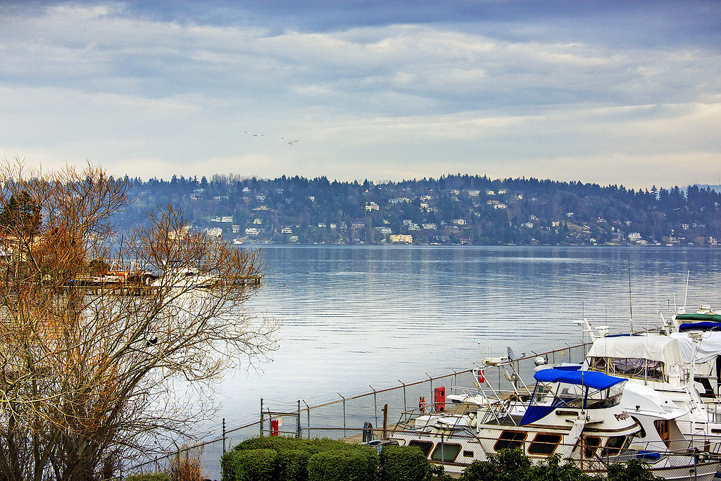 Property Photo: 9030 Seward Park Ave S 308 WA 98118
