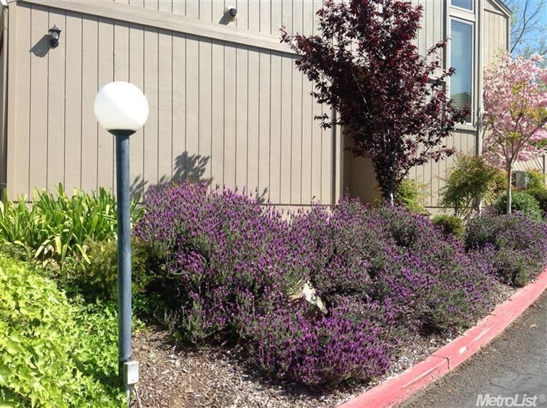 Property Photo: 12117 Summer Ridge Dr CA 95603