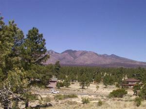 Property Photo:  11595 N Copeland Lane  AZ 86004 