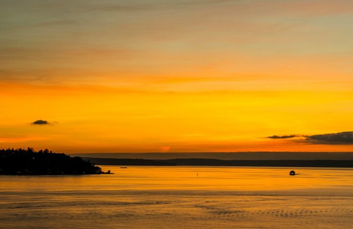 2607 Western Ave 1005  Seattle WA 98121 photo