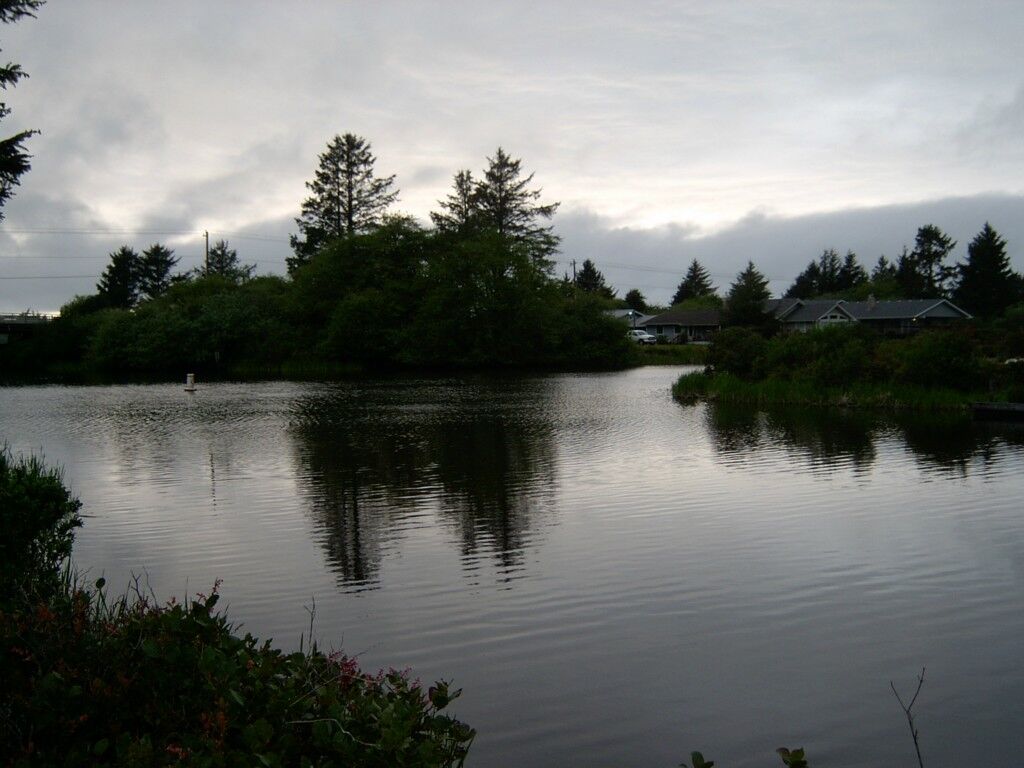 Property Photo:  118 Cakesosta St  WA 98569 