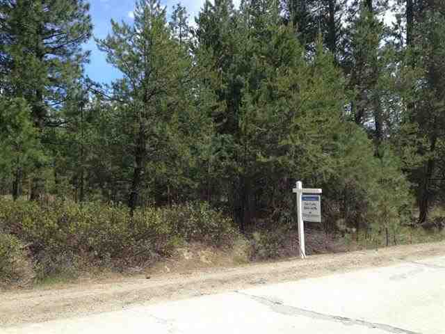 Property Photo: 0 N North Rd WA 99005