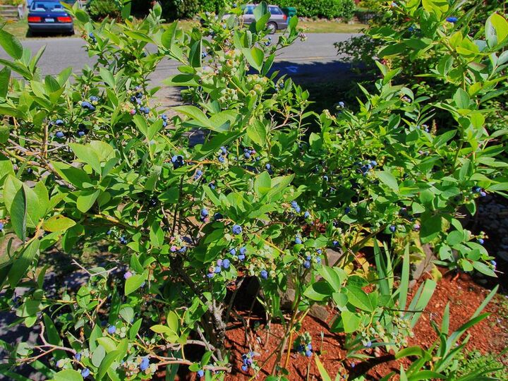 Property Photo:  9037 Phinney Ave N  WA 98103 