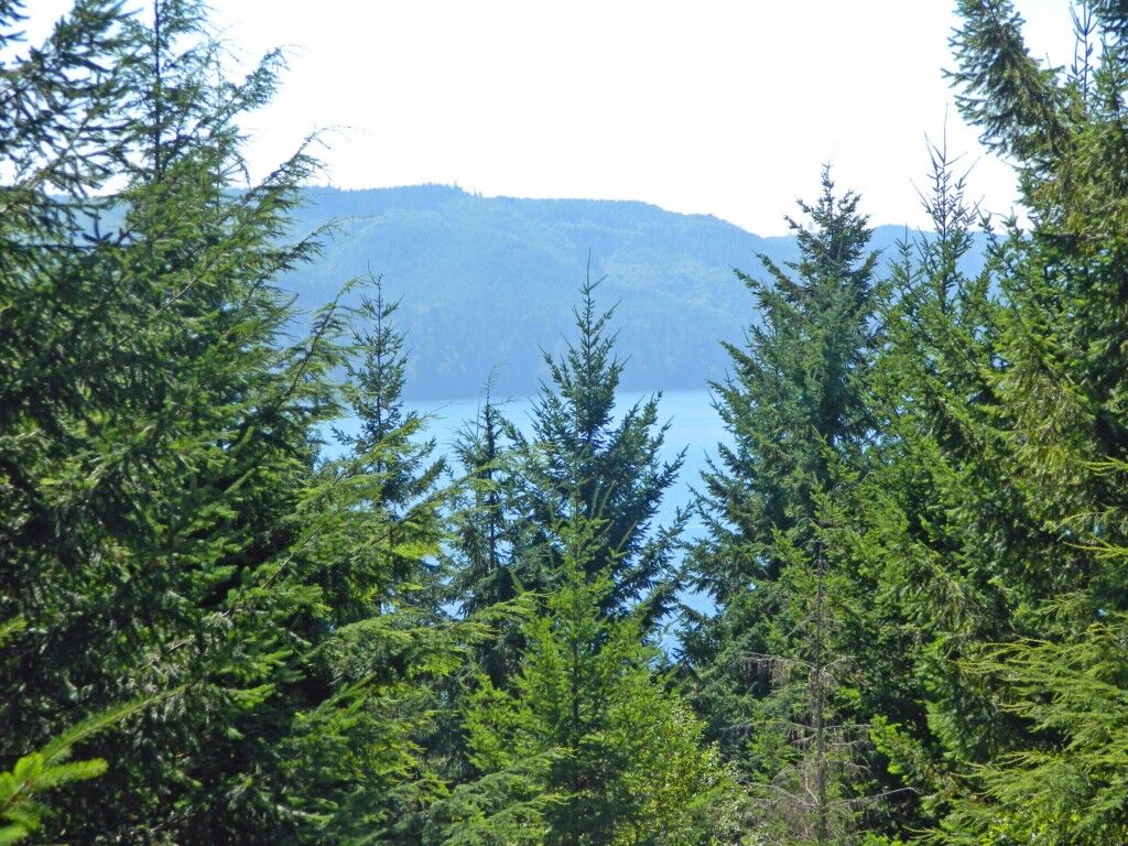 Property Photo:  200 N Will Webb Road  WA 98555 