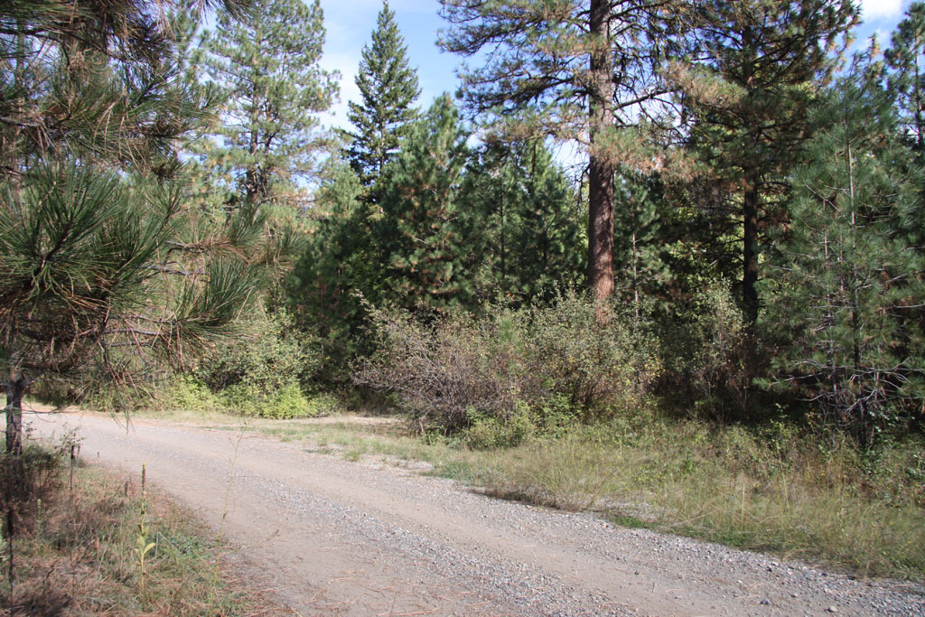 Property Photo:  0 Methow Ranch Rd  WA 98862 