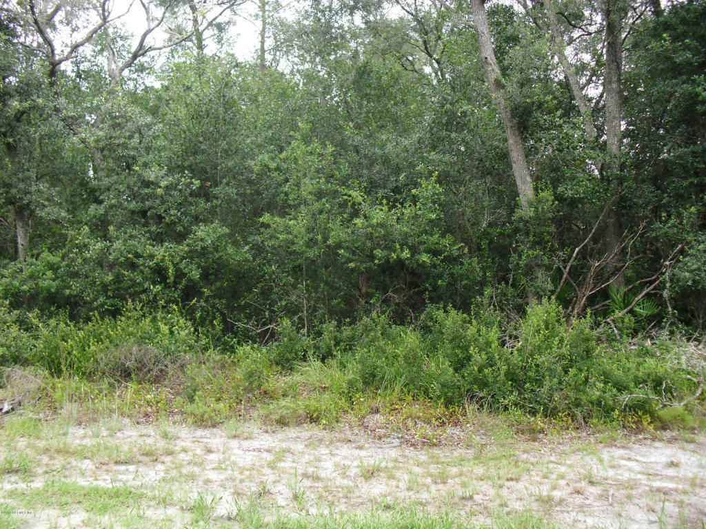 Property Photo:  00 Gorbutt Road  FL 32112 