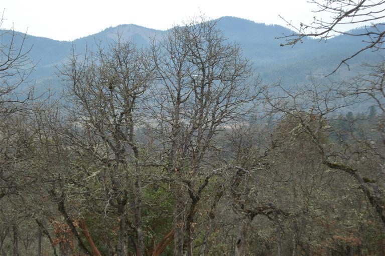 Property Photo: 0 Skyview Drive OR 97501