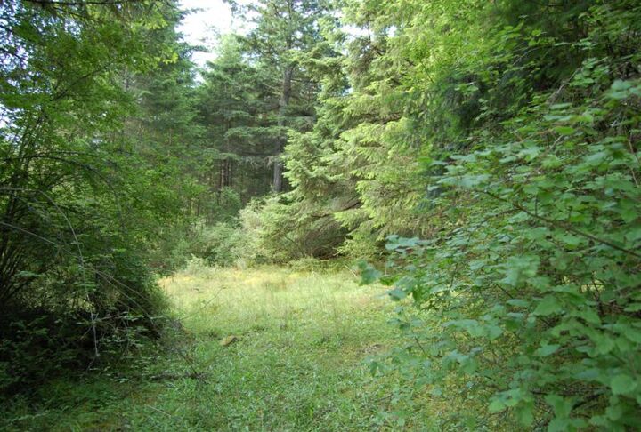 Xxx Wilson Rd  San Juan Island WA 98250 photo