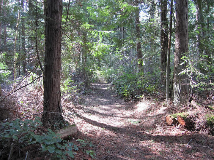 Property Photo:  0 Arabian Lane  WA 98368 