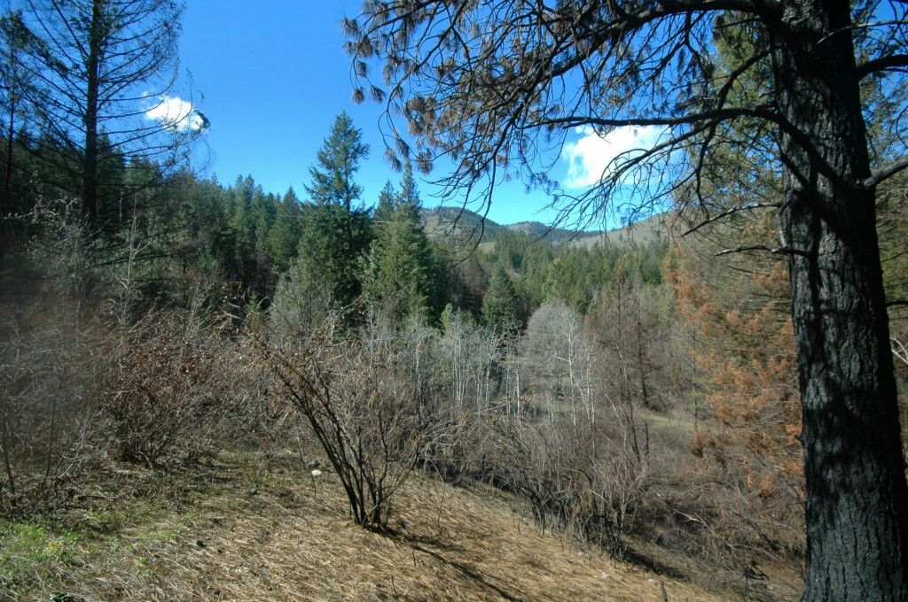 Property Photo:  0 Tbd Gold Creek Ranch Rd  WA 98814 