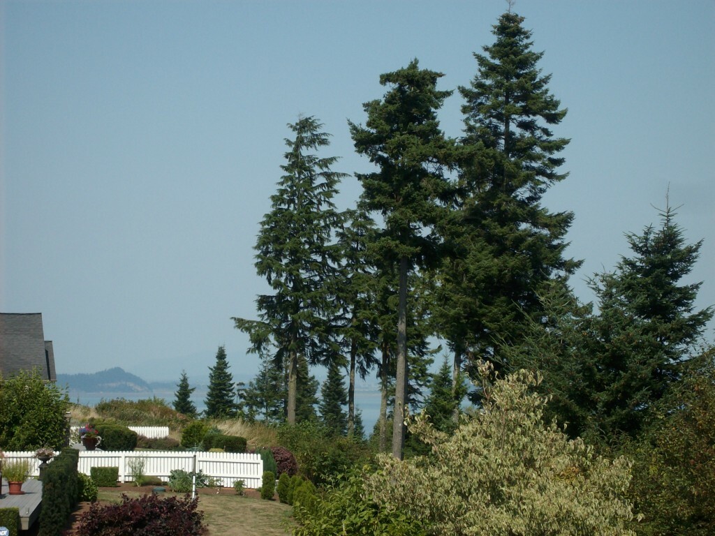 Property Photo: 31 Brentwood Dr WA 98282