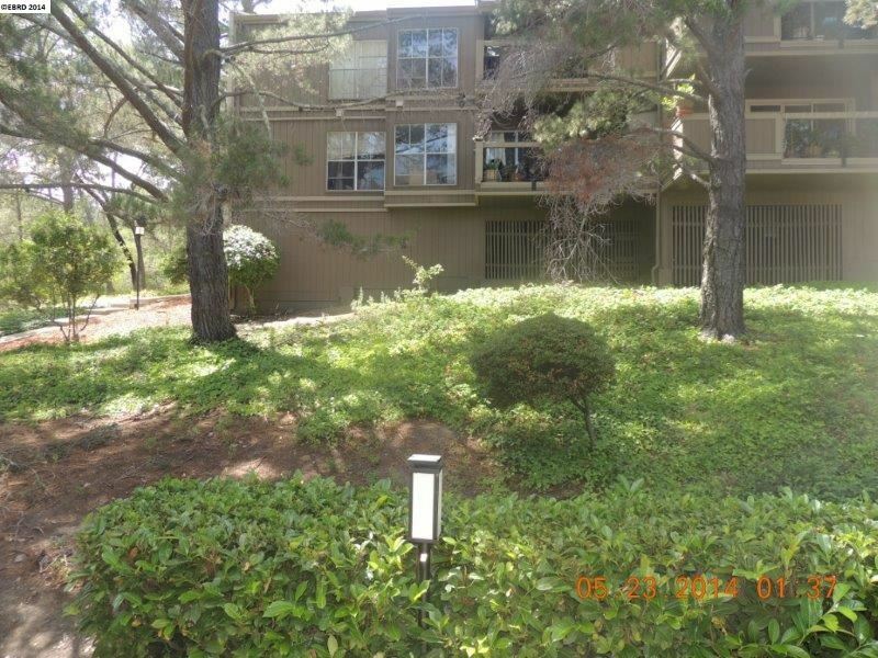 Property Photo: 2091 Ascot Dr 229 CA 94556-2222