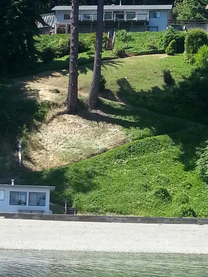 14118 42nd St Ct Kps  Lakebay WA 98349 photo