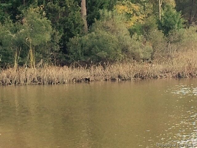 Property Photo: 1090 S Henry Street VA 23185