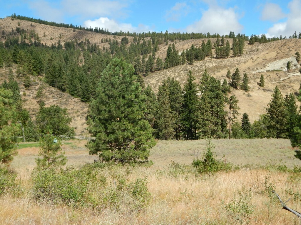 Property Photo: 0 Squilchuck Rd WA 98801