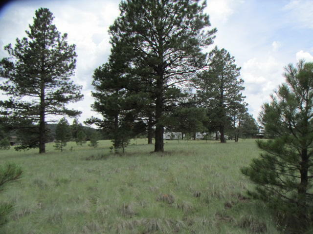 Property Photo:  3309 Forrest Ranches Loop  AZ 86018 