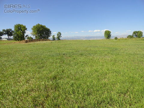Property Photo: 2650 Lawrence Ct CO 80026