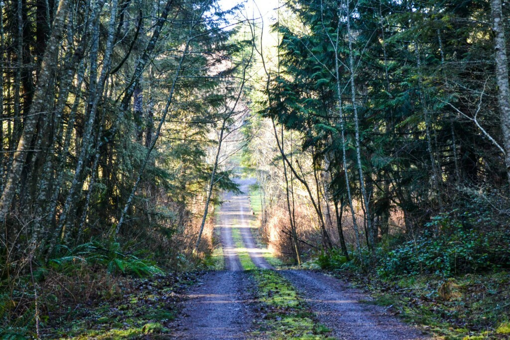 Property Photo:  154 Wild Plum Lane  WA 98325 