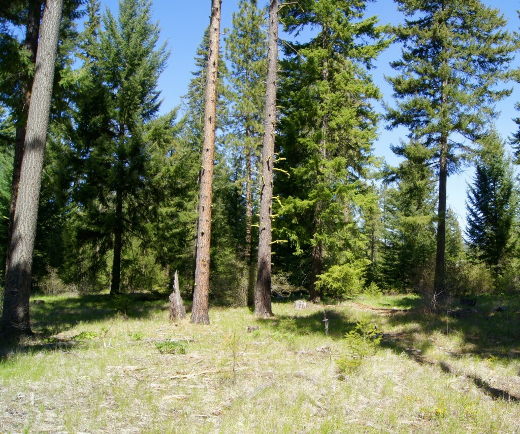 Property Photo:  1810 Larkspur Lp  WA 98922 