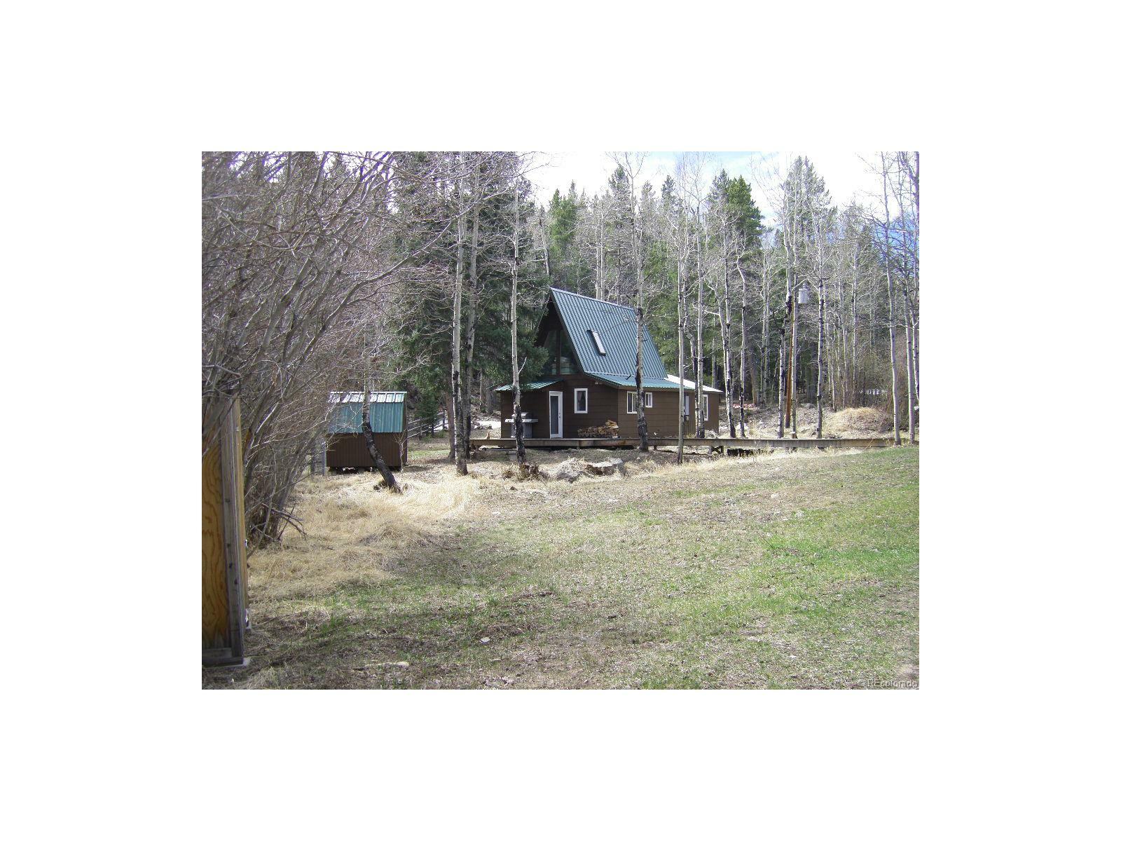 Property Photo:  479 Deer Road  CO 80439 