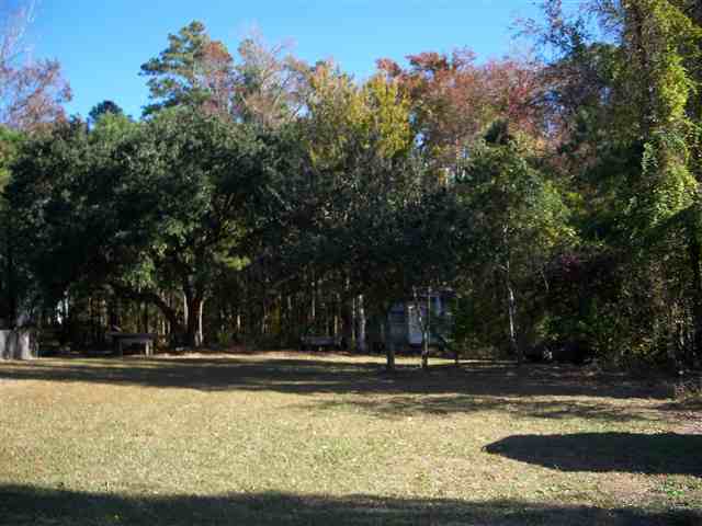 Property Photo:  135 Scarborough Street  NC 27954 