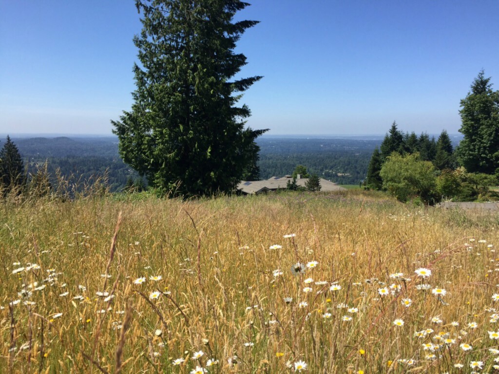 Property Photo: 115 206th Place SE WA 98027