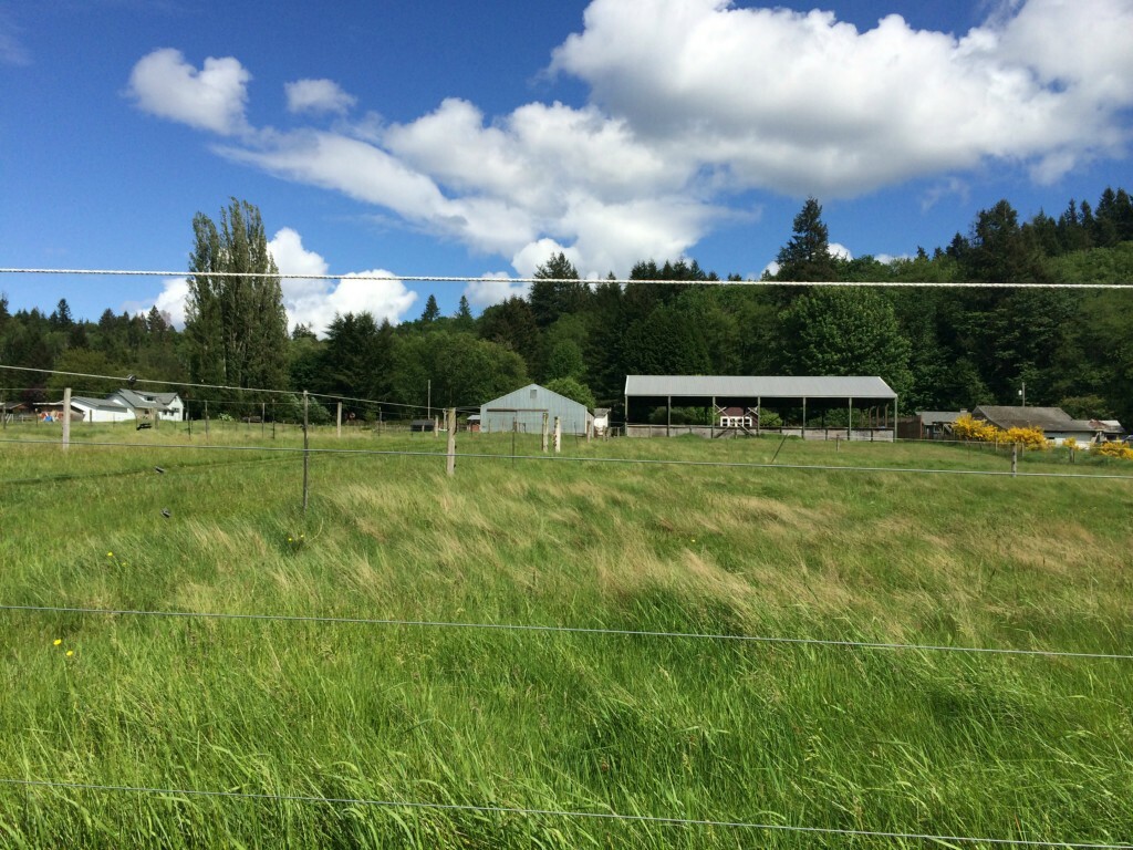 Property Photo:  11022 SE Olalla Valley Rd  WA 98359 