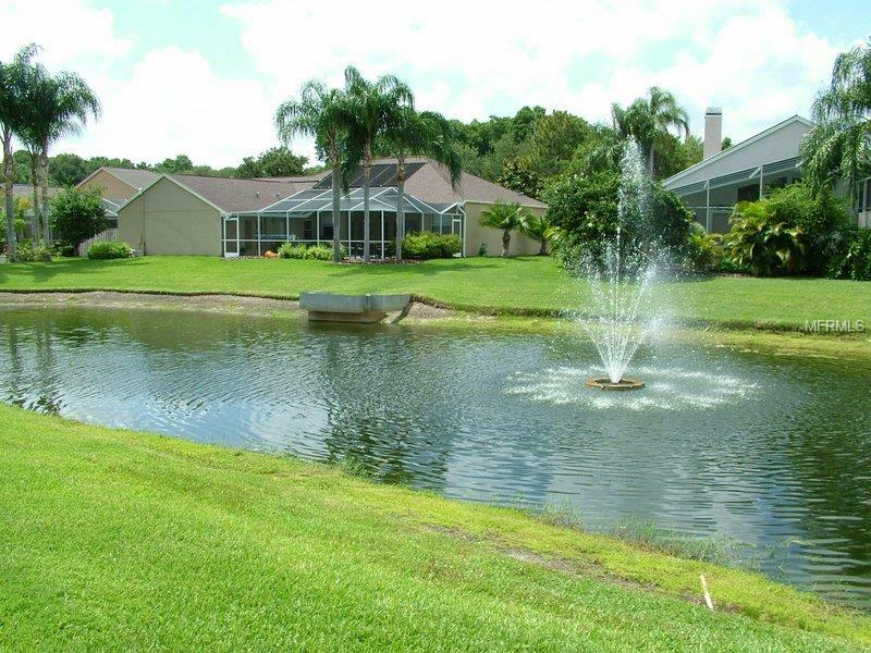 Property Photo:  4747 Stoneview Circle  FL 34677 