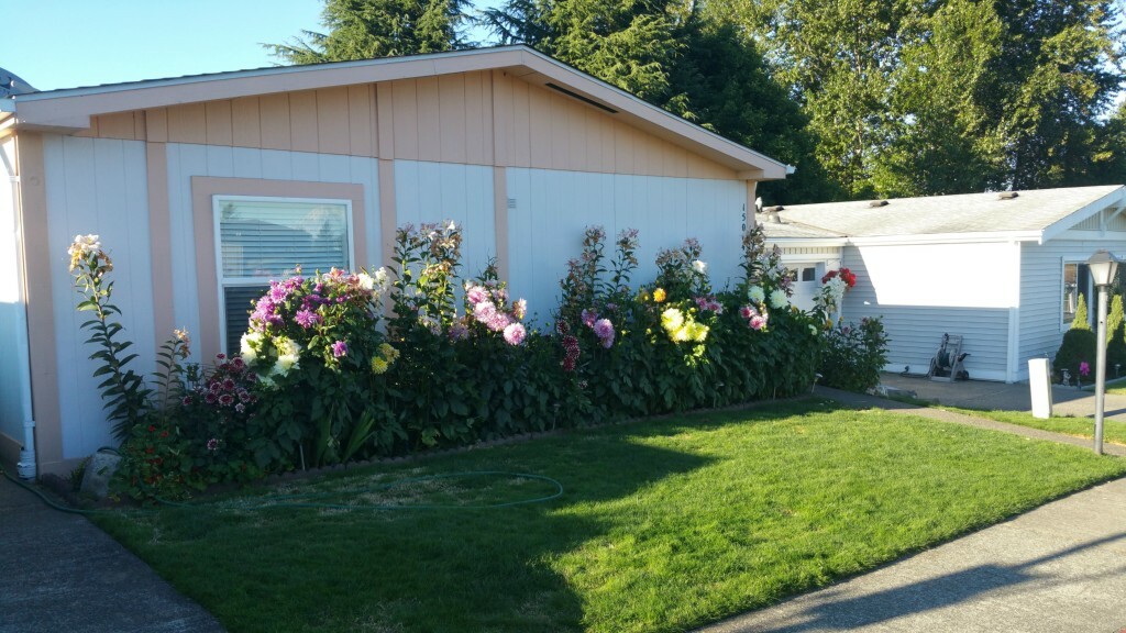 Property Photo:  15004 SE 274th 119  WA 98042 