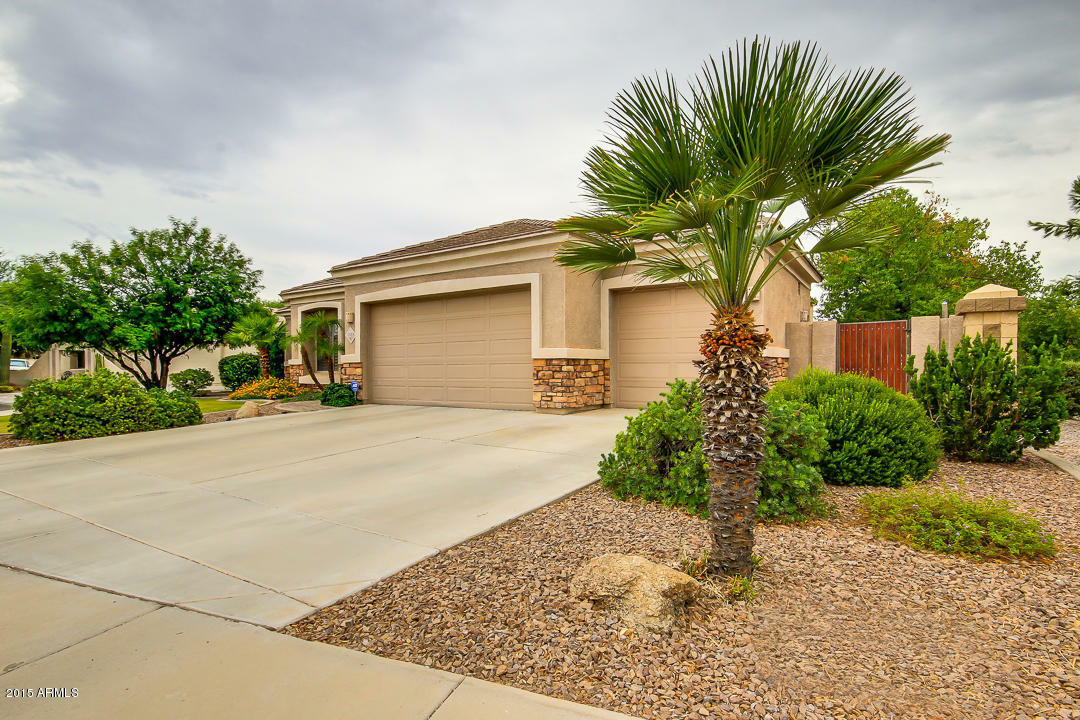 Property Photo:  3555 E Harvard Court  AZ 85234 