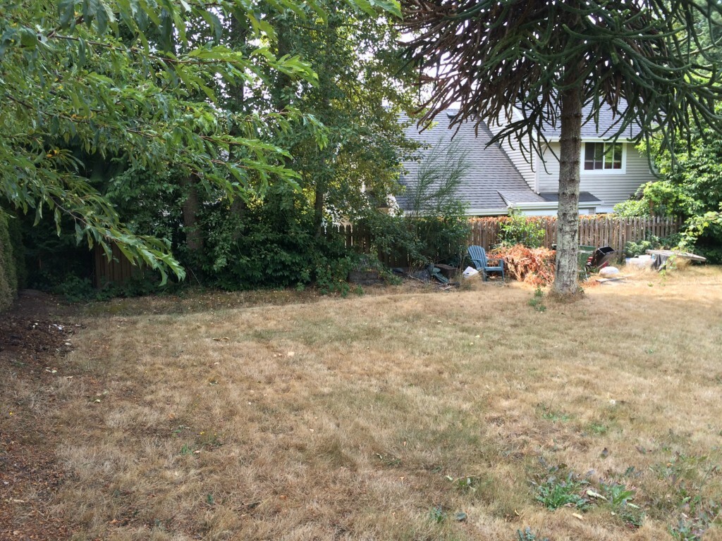 Property Photo:  256 Grow Ave NW  WA 98110 