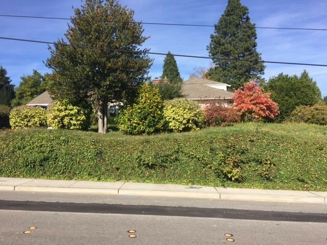 Property Photo:  9716 NE 14th St  WA 98004 