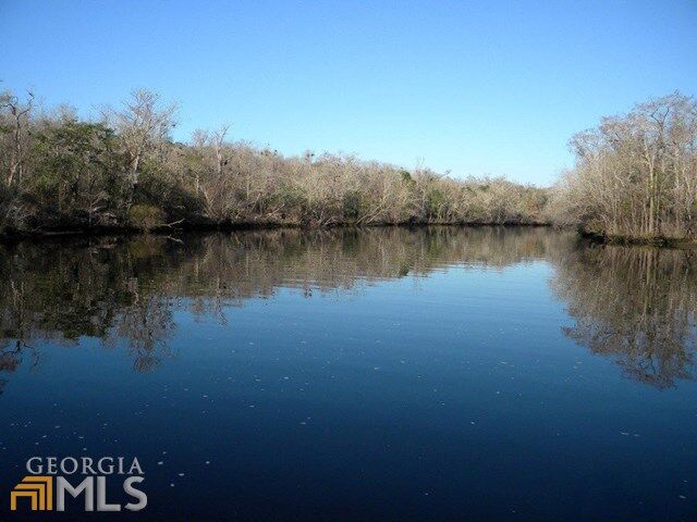 Property Photo:  0 Lake Deborah Drive Lot 29  GA 31537 