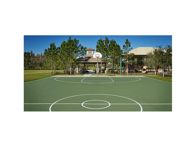 Property Photo: 4915 Butler National Drive FL 33543