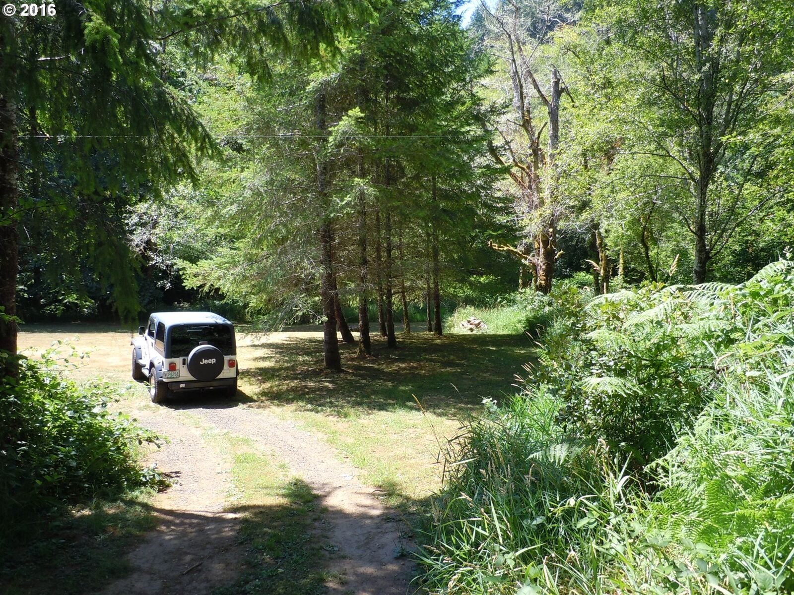 Property Photo: Sweet Creek Rd OR 97453