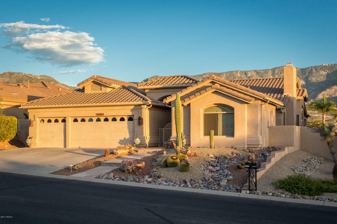 Property Photo:  38157 S Stone Ridge Court  AZ 85739 