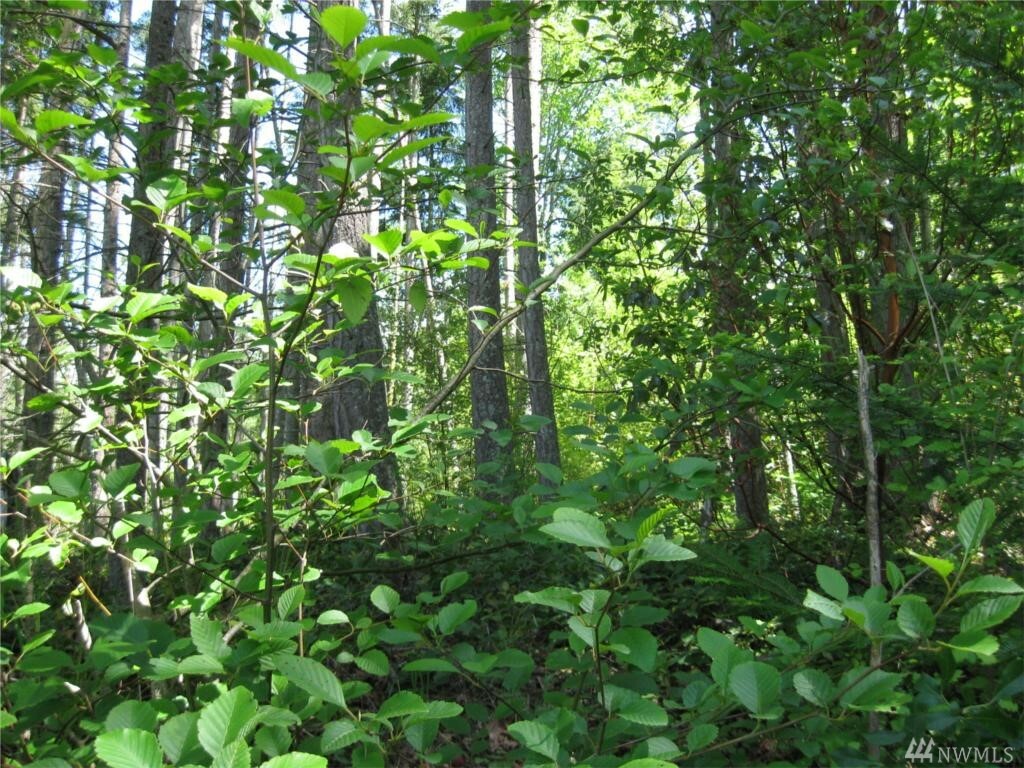 Property Photo: 0 W Camano Dr WA 98282