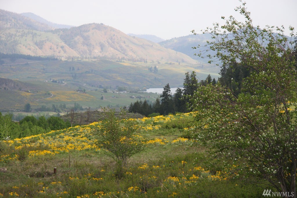 Property Photo: 260 Rendezvous Rd WA 98862