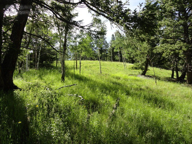 Property Photo: 0 Pewabic Mine Rd CO 80427