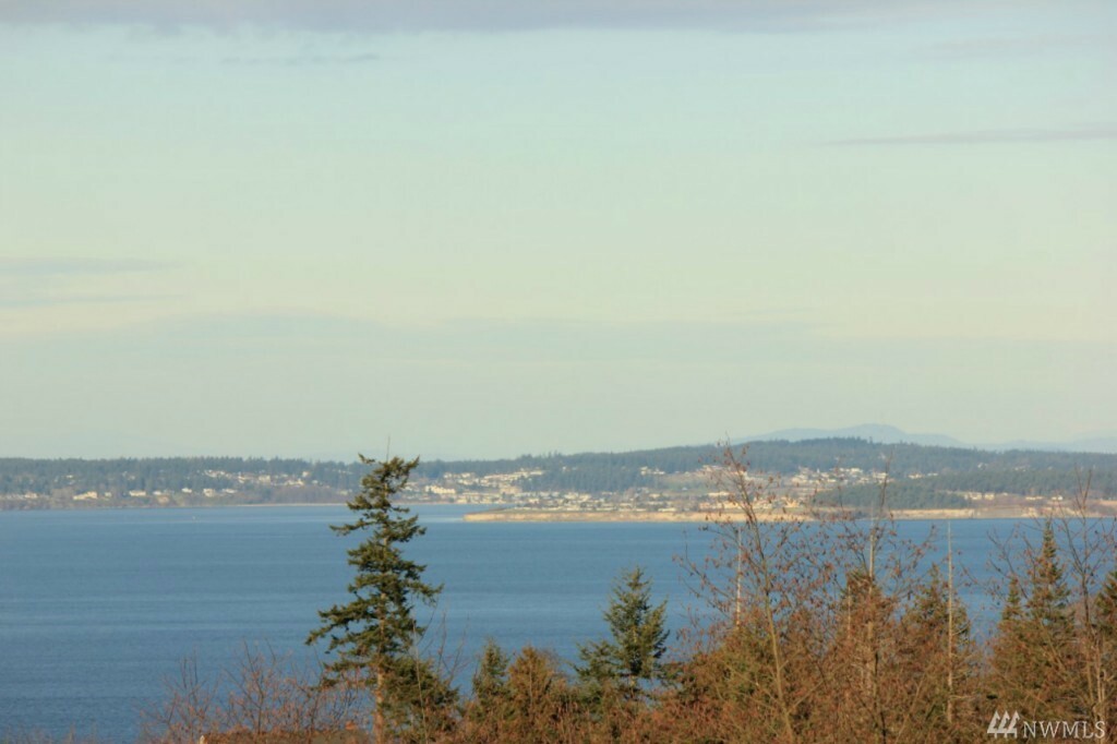 Property Photo:  161 Lot 6 Arborcrest Place  WA 98282 