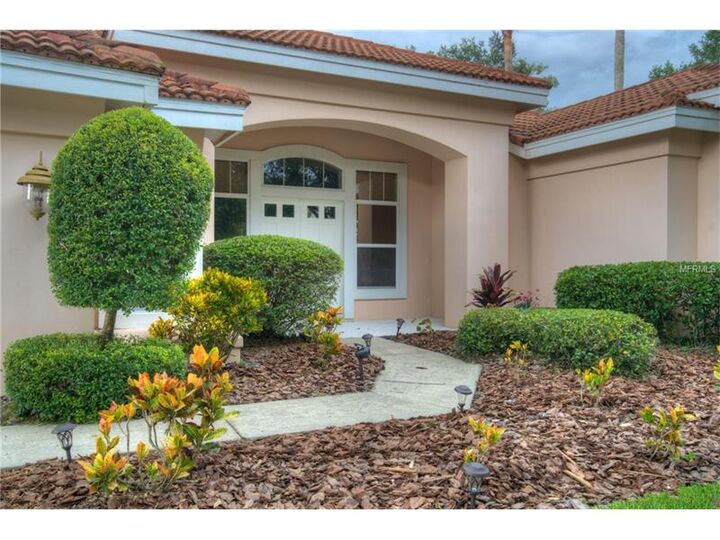 Property Photo:  8703 Broadgreen Court  FL 33647 