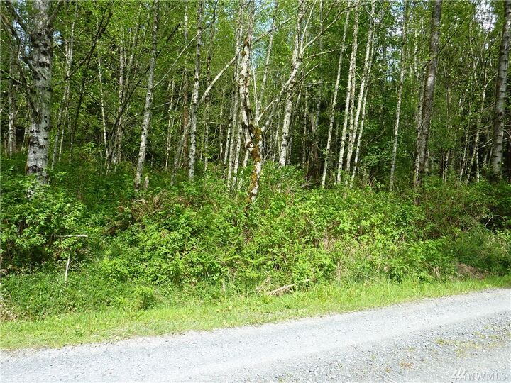 Property Photo:  258 Xx  Ebey Mountain Rd  WA 98223 