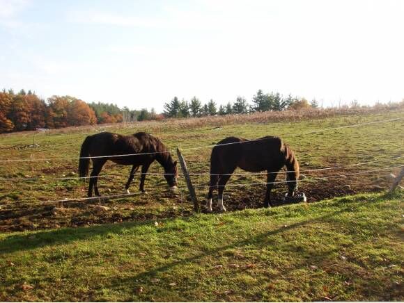 Property Photo:  479 North Road  NH 03230 